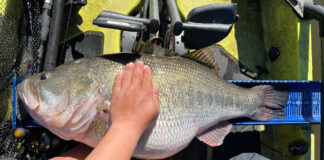 California Kayak Angler May Lose Out On A Record Due To Technicality A would-be record lake bass in California is held. up on a fishing kayak while angler Damian Thao places his hand over the fish for scale.