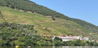 Join Our Upcoming Webinar On Kayak Expeditions In Portugal two people paddle an orange tandem kayak in front of terraced hills in the Douro river valley in Portugal