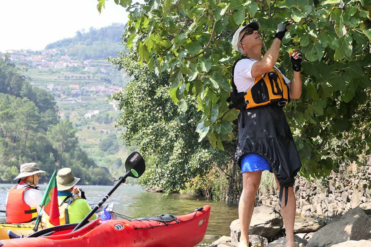 a kayaker stands on the riverbank picking fruit along the Douro River in Portugal