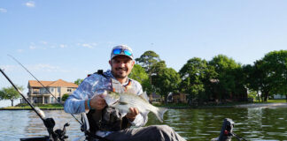 Learn How To Catch Hybrid Striped Bass kayak angler holds up a hybrid striped bass
