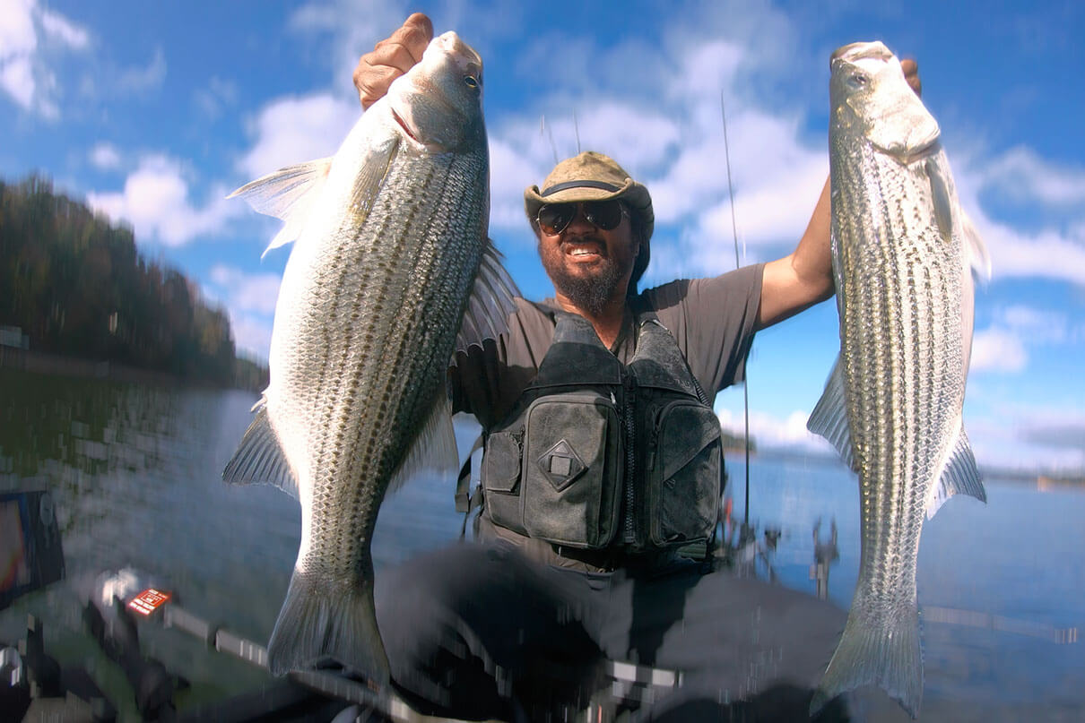 kayak angler holds up a pair of hybrid striped bass