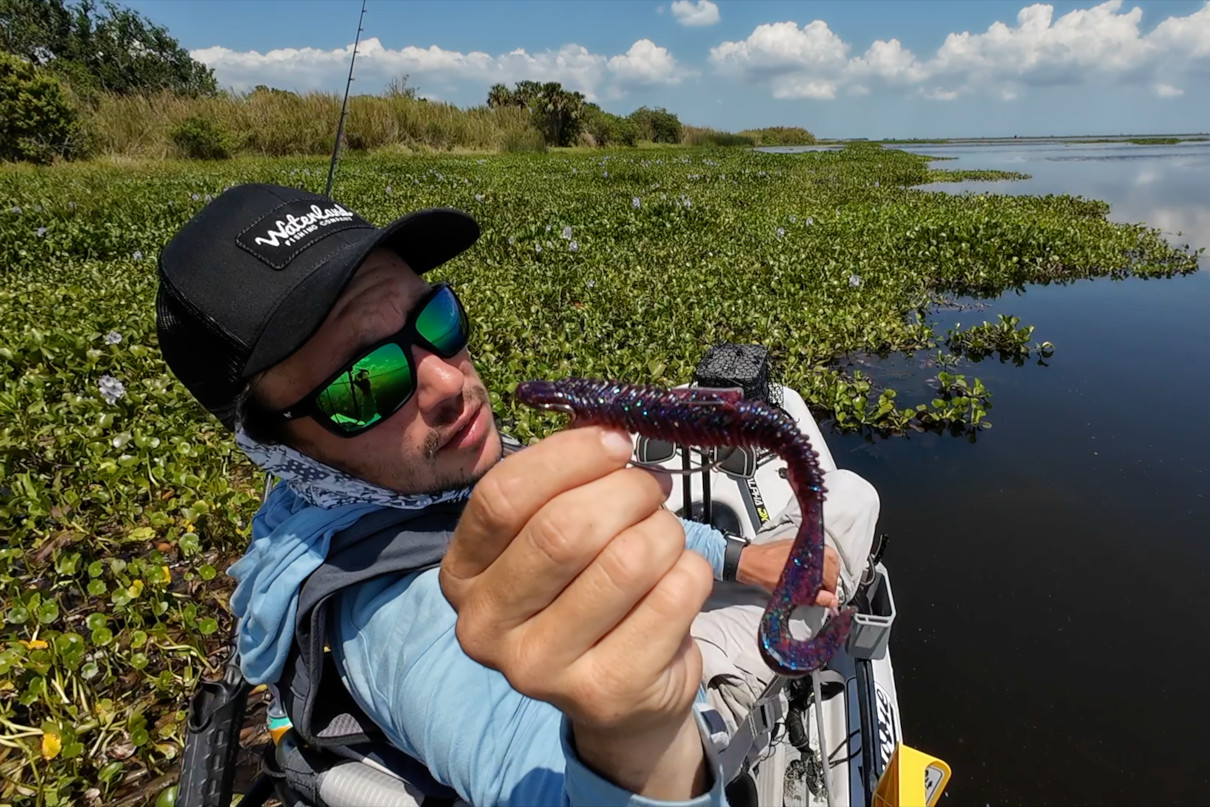 Angler shows off a swimming worm lure ideal for spring bass fishing.