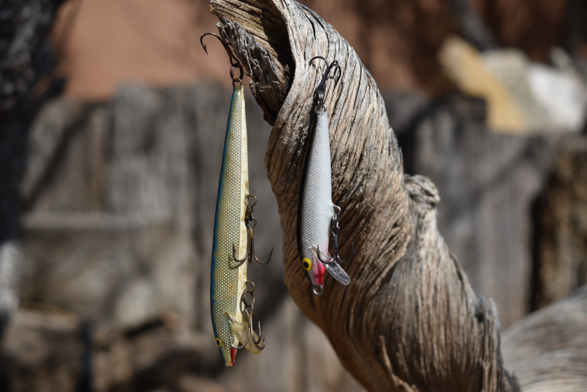 Rapala Floating Minnow