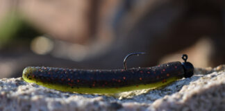 Best Bass Lures For 2026 Z-Man Finesse lure.