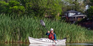 Kayak Review: BorealDesign’s Storm 17 man paddles the Boreal Design Storm 17 thermoformed touring kayak in front of cattails with a house in the background