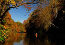Why Kayak Fishing Is Good For Your Brain a kayak angler sits on a still autum river and fishes