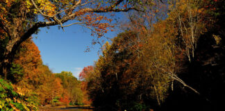 Why Kayak Fishing Is Good For Your Brain a kayak angler sits on a still autum river and fishes