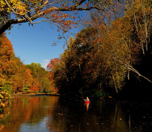 Why Kayak Fishing Is Good For Your Brain a kayak angler sits on a still autum river and fishes