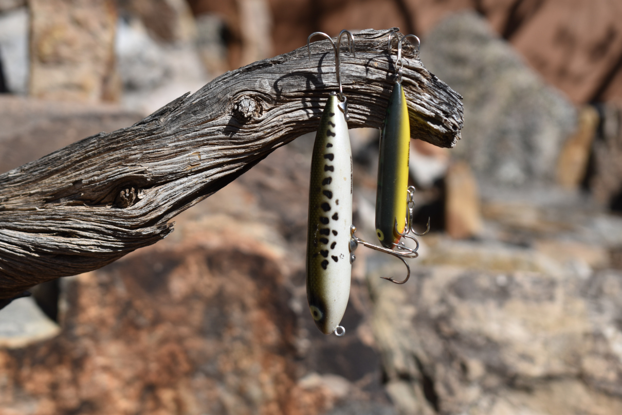 Heddon spook topwater lures with treble hook embedded in a piece of driftwood.