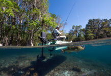 New Electric Outboards And Kayak Trolling Motors Make Waves man fishes from a kayak equipped with the Garmin Force Current kayak motor