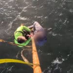 Kayaker And Dog Rescued After Kayak Overturned; Second Kayaker Drowns Image of the kayaker and dog rescued in Tomales Bay, California