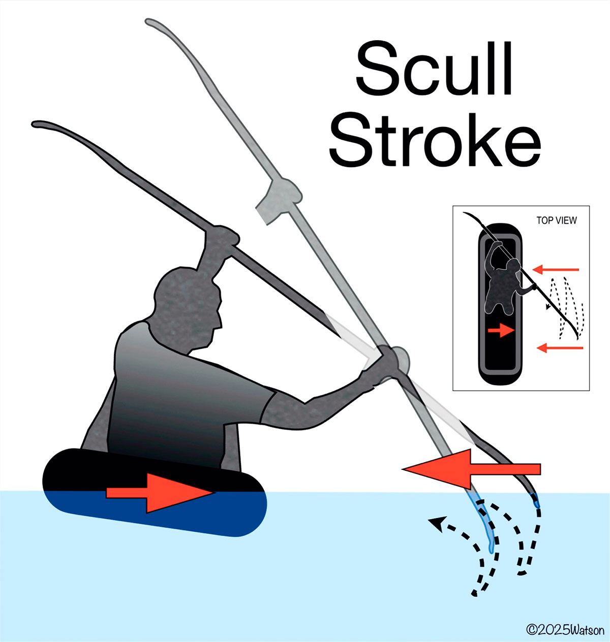 illustration of a paddler doing a scull stroke