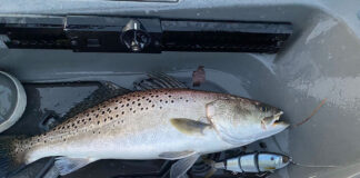 Cobra Kai And Kayak Fishing a speckled trout caught by Kayak Angler editor Ric Burnley sits on his kayak deck beside the glide bait he used