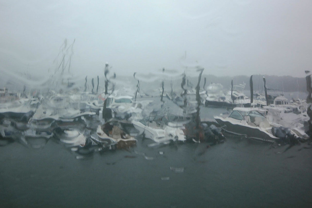 Watching the rain fall in Portland, Maine