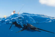 Next-Level Fishing: Married To Sailfish man hooks a sailfish under the blue water while fishing from a kayak under blue skies