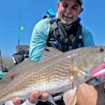 Learn To Catch Redfish On Topwater Lures kayak angler holds up a redfish caught with topwater lure