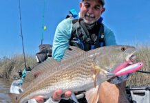 Learn To Catch Redfish On Topwater Lures kayak angler holds up a redfish caught with topwater lure