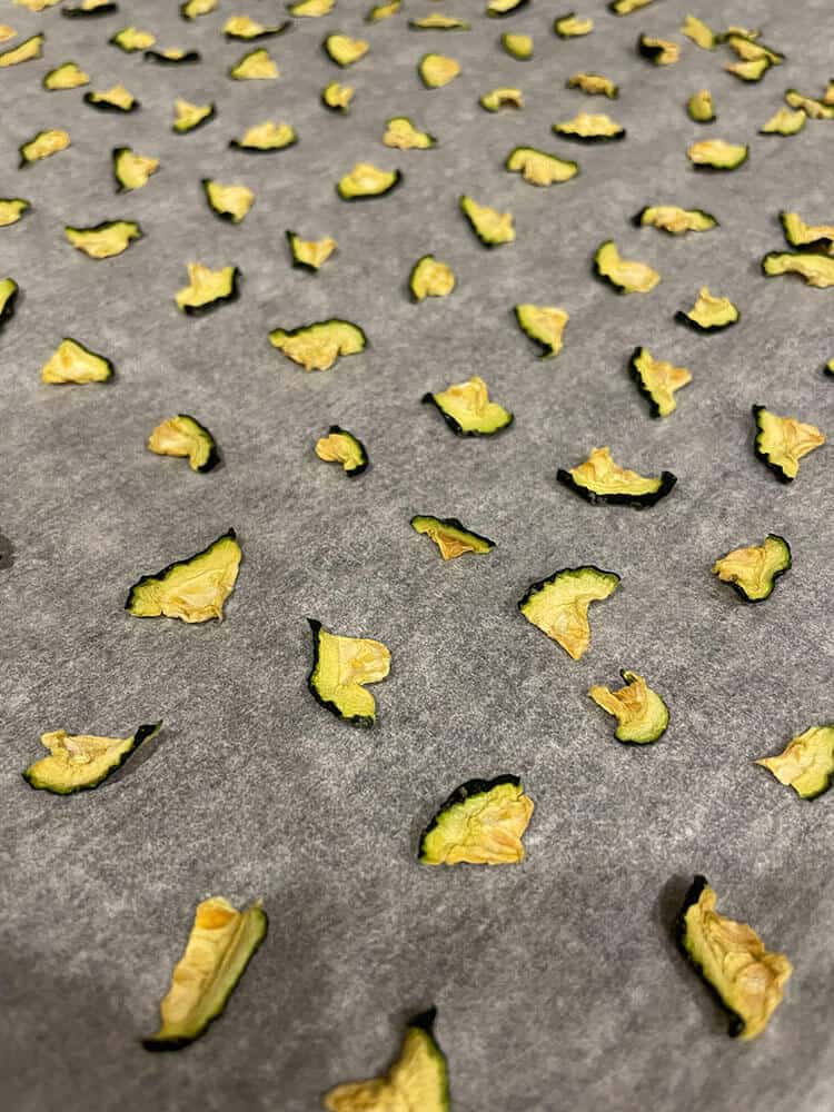 dehydrated food on a baking sheet