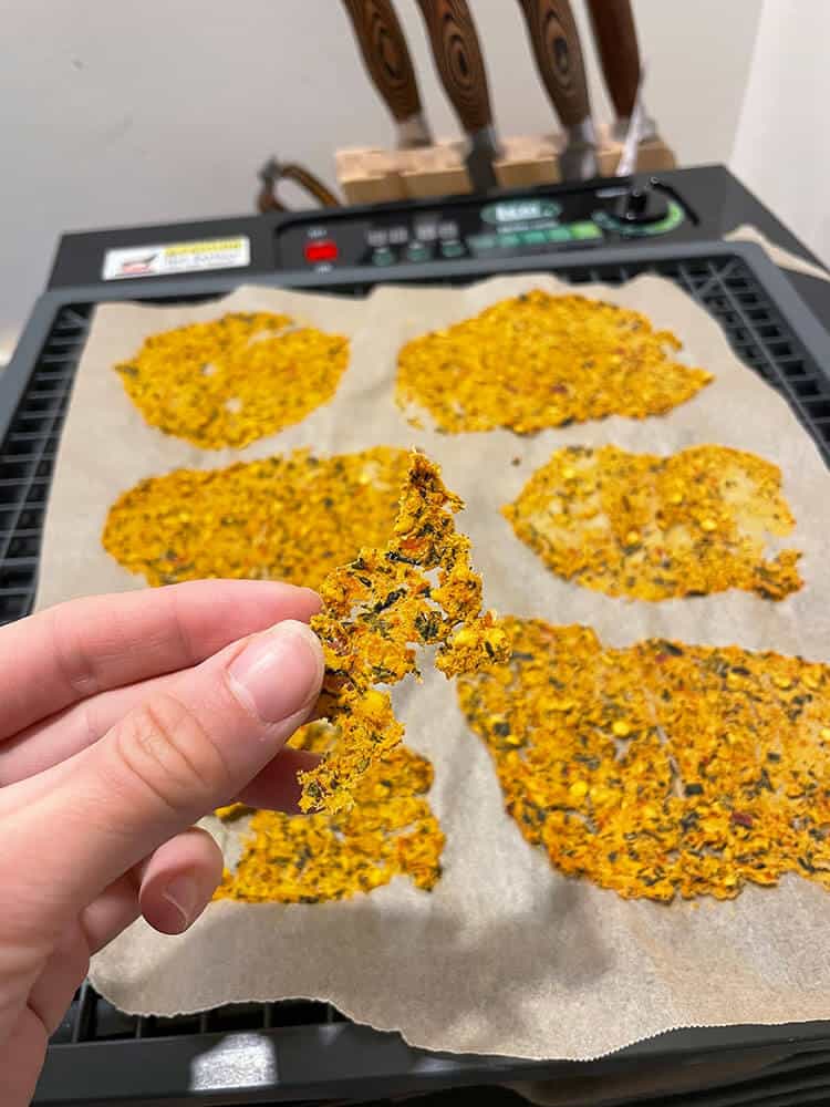 dehydrated food on a baking sheet