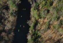 Follow the Water: Inside the Best Kayaking Film of 2026 Overhead shot of kayakers on a river with forest on either side