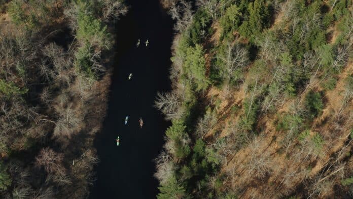 Overhead shot of kayakers on a river with forest on either side