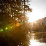 Peace Of The Paddle two people paddle a canoe along a river with conifer trees and forested mountain behind in bright sunlight