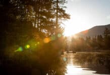 Peace Of The Paddle two people paddle a canoe along a river with conifer trees and forested mountain behind in bright sunlight