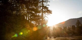 Peace Of The Paddle two people paddle a canoe along a river with conifer trees and forested mountain behind in bright sunlight