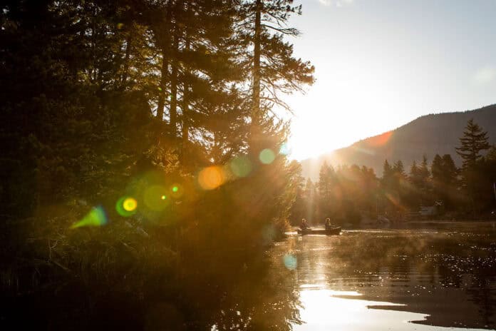 two people paddle a canoe along a river with conifer trees and forested mountain behind in bright sunlight