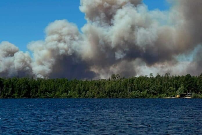 wildfire