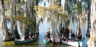 Have Kids, Will Paddle: Nikki Bettis Is Rebuilding Her Family One Expedition At A Time Nikki Bettis (back left) with her flotilla during the Mississippi River expedition