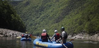 The Guides Who Make Rafting Tennessee Whitewater Unforgettable Guide steering raft down Nolichucky River.