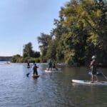 Oregon Paddleboard Accident Underscores Risk Of Leash Mismatch On Rivers A group of Standup Paddleboarders on the Willamette River near Eugene, Oregon.