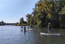 Oregon Paddleboard Accident Underscores Risk Of Leash Mismatch On Rivers A group of Standup Paddleboarders on the Willamette River near Eugene, Oregon.