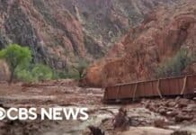 Two Dead And 15 Potentially Missing After Grand Canyon Flash Flooding