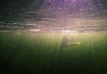 Inside Paddling’s Most Unusual World Championship A squirtboater snagging bubbles and getting deep underwater