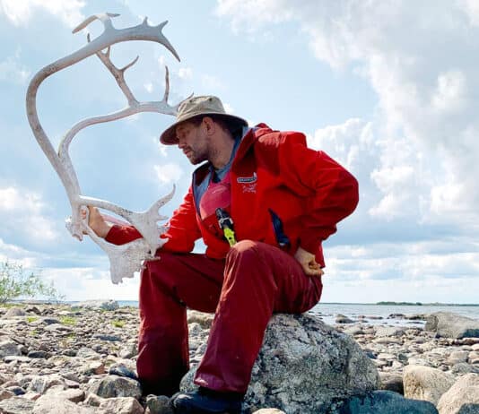 Expedition Canoeist Stephan Kesting Is Giving Death The Finger Stephan Kesting poses with caribou antlers during his solo expedition in the Barren Lands