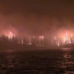 Paddler Shares Escape From Wildfire in Wabakimi Provincial Park wildfire burns trees