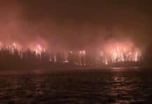 Paddler Shares Escape From Wildfire in Wabakimi Provincial Park wildfire burns trees