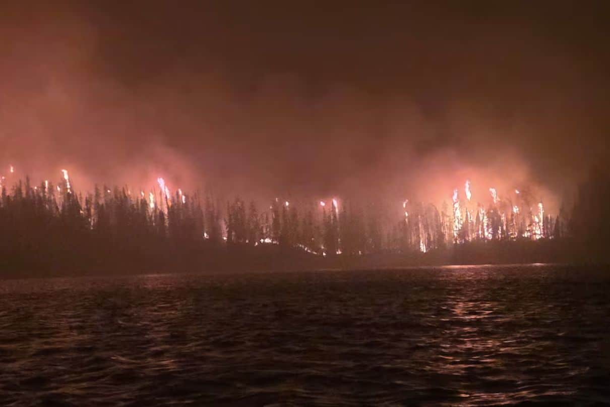 wildfire burns trees
