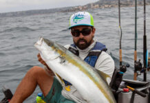 Stickbaits For Yellowtail: Learn How Now Howie Strech holds up a yellowtail caught by stickbait from a kayak