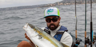 Stickbaits For Yellowtail: Learn How Now Howie Strech holds up a yellowtail caught by stickbait from a kayak