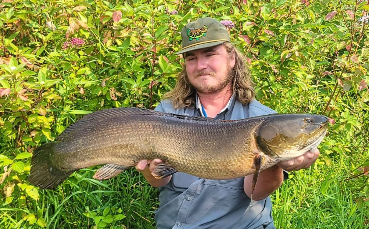 Man with bowfin fish