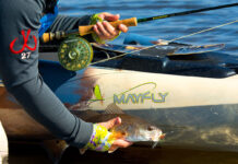 The Four Stages Of Kayak Fishing Mastery Explained person catches a fish from a kayak