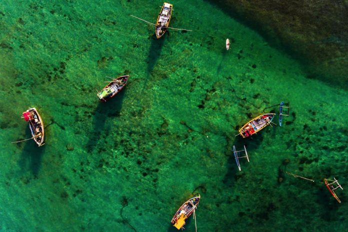 an aerial shot of several fishing boats paddling in Sri Lanka